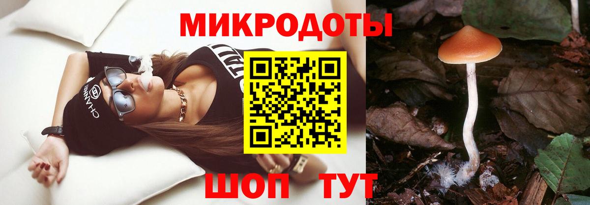 Галлюциногенные грибы Cubensis  Вход с VPN  Биробиджан 